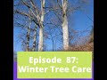 Winter Tree Care