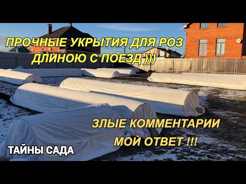 Мои розы в ноябре. Прочные укрытия для роз. Ответ на злой комментарий и многое другое. Будет весело.