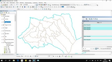 Tutorial ArcGIS: Visualisasi & Layout Peta