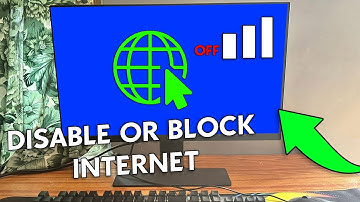 How to Disable Internet Access on Windows 11 [All Browsers]