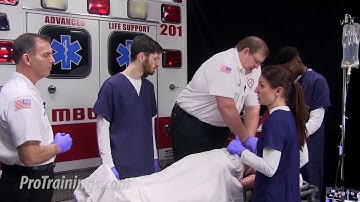 High Performance PALS Team Dynamics (Team Member Roles)