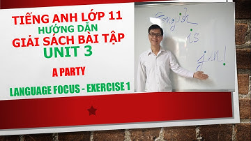 Tiếng Anh lớp 11 - Giải SBT - Unit 3 - Language focus - Exercise 1