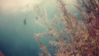 David Tagg - Pictures From Airplanes - The Lingering Path