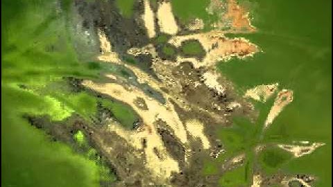 Water Ripple Effect (Displacement Map)