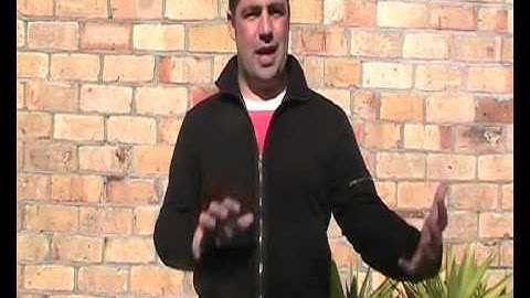 Large:: Data Driven Websites