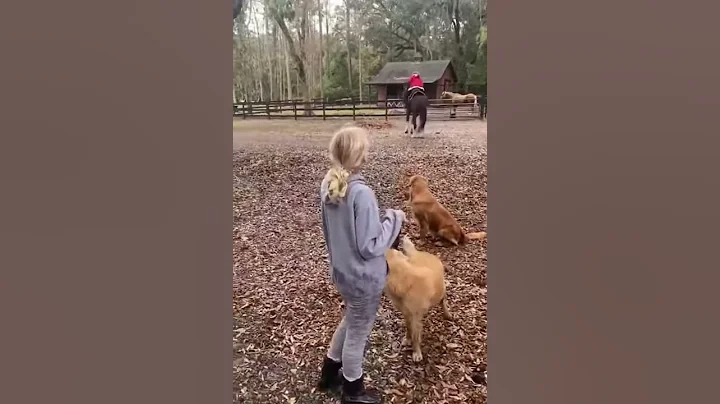 Girl Gets Bucked Off A Horse Back