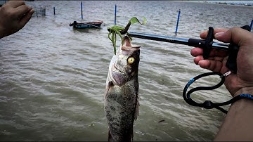 Booms Fishing R02 Fish Hook Remover Tool