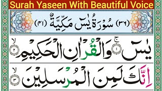 036 Surah Yaseen Full || Surah Al Yaseen With HD Arabic Text || Surah Yasin || Relaxing Voice