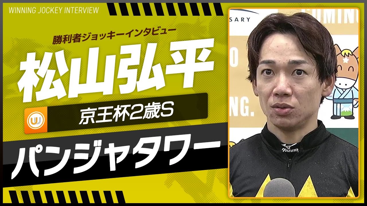 競馬 パンジャタワー ブルゾン 激レア 松山弘平騎手 橋口厩舎 M 【公式