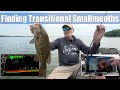 Finding transitional smallmouth bass