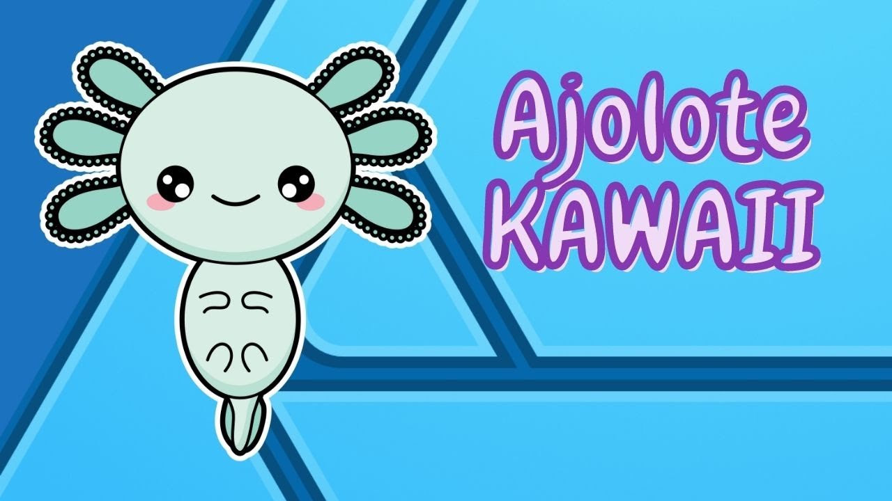 Como dibujar un Ajolote KAWAII // Dibujo Kawaii // Affinity Designer -  thptnganamst.edu.vn