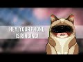 ringing your phone - meme