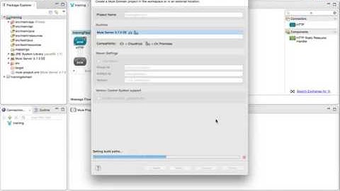 Creating a MULE domain project