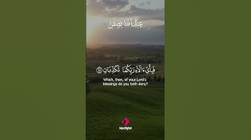 صوت يلامس الروح ويثير الخشوع | تلاوة رائعة للشيخ عبدالله بصفر