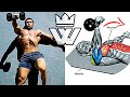 Best Dumbbells Exercises | ABS/Chest/Arms