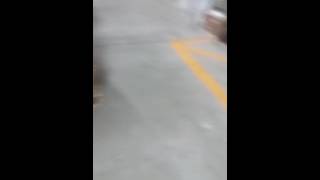 the rake weird noise at job DISTURBING!!