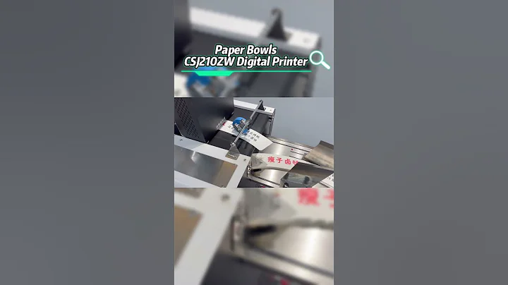 Digital print on paper food container CSJ210ZW multi color one pass printer with high volume feeder