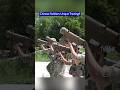 Chinese Soldiers Train Shoulder-Fired Missile Launch on Moving Platform!!