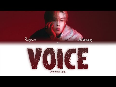 Joohoney – Voice [ПЕРЕВОД НА РУССКИЙ/КИРИЛЛИЗАЦИЯ Color Coded Lyrics]