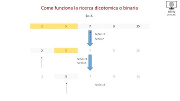 Come funziona la ricerca dicotomica o binaria