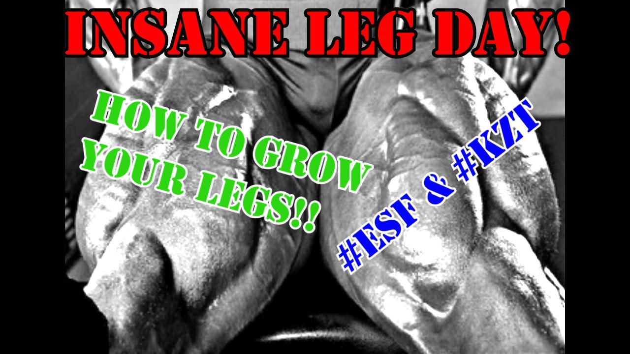 How To Get Big Muscular Legs Leg Day 1 / Bulking Workout Program