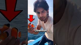 He Hit Record And Exposed Something Unreal 