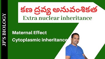 CYTOPLASMIC INHERITANCE