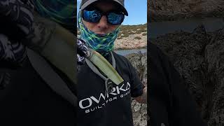 Φάε Λαγοκέφαλο ΤΕΡΑΣ ρε αλγόριθμε! #Ψάρεμα #fishing #shorejigging #λαγοκεφαλος