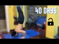 40 DAYS HANDSTAND PUSHUP TRANSFORMATION // Day by day progress