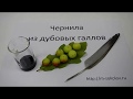 Чернила из дубовых галлов