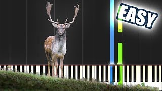 Video thumbnail of "As The Deer Pants For The Water | EASY PIANO TUTORIAL + SHEET MUSIC by Betacustic"