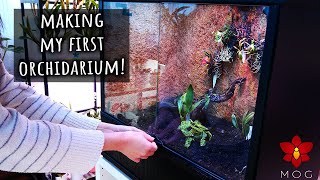 Making my first Orchidarium!  Mounting Orchids again after 10 years!