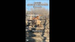 Best Funny Animal Videos 2026 😂 Cute Pets Doing Crazy Things