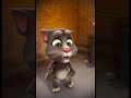 Talking Tom Cat New Video Best Funny Android GamePlay Talking Tom Cat New Video Best Funny Android GamePlay