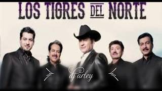 Video thumbnail of "Qué Tal Si Eres Tú Los Tigres Del Norte (Audio Oficial)✔✔"