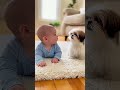 Baby Tries to Bark Like a Puppy 🐶😂 The Cutest Thing You’ll See Today! #BabyAndDog #BabyGiggle