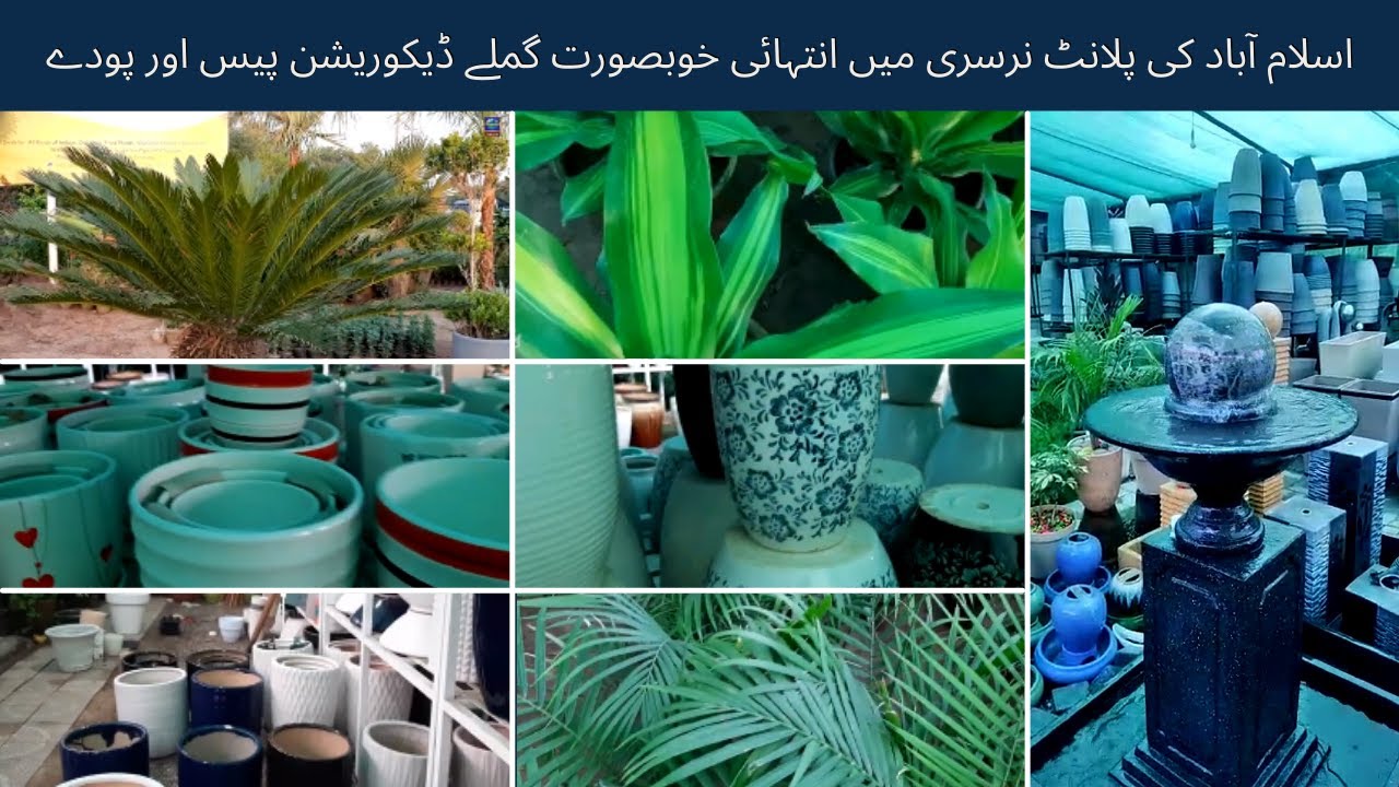 Plant Nursery Islamabad | Plant Pots | Plant Stands | Plant Organizers