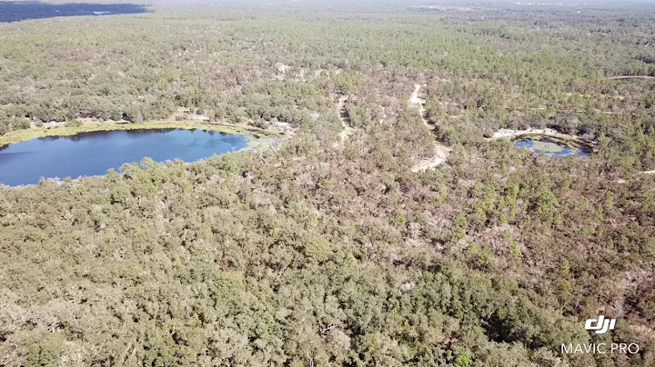 20 Acres For Sale Interlachen Florida