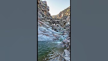 #اجر_لي_ولك #اكسبلور #القرآن #لايك #تلاوات #shortvideo #quran #islam