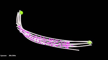 Spindle buckling | Under pressure - video 3