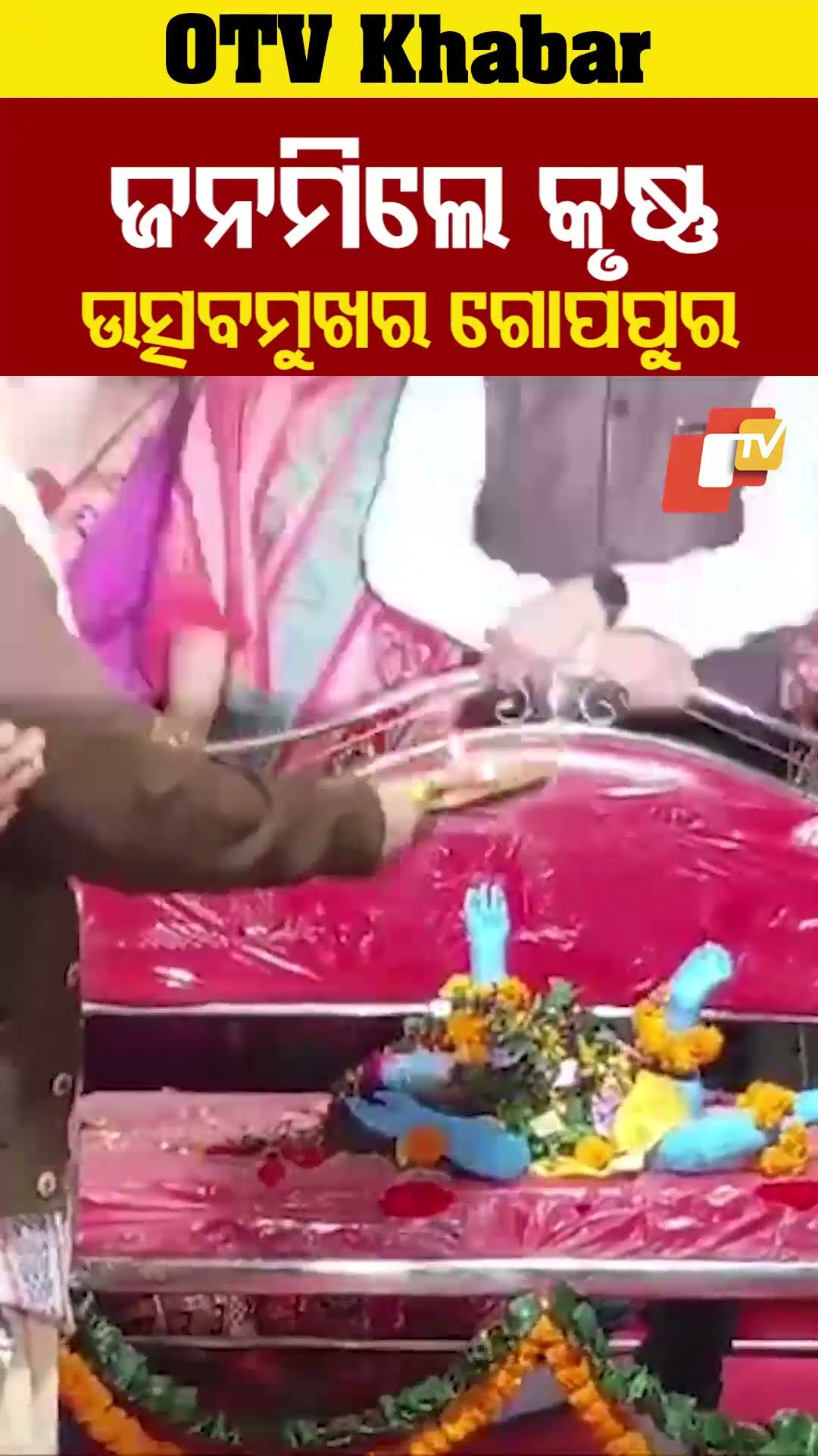 ଜନମିଲେ କୃଷ୍ଣ, ଉତ୍ସବମୁଖର ଗୋପପୁର...#DhanuJatra #Bargarh #SrikrishnaLeela #OTVShors