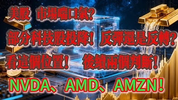 美股 市场喘口气，部分科技股投降！反弹还是反转？看这个位置！ 后续两个判断！NVDA、AMD、AMZ