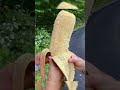 Nadir Fotoğraflar Part 1