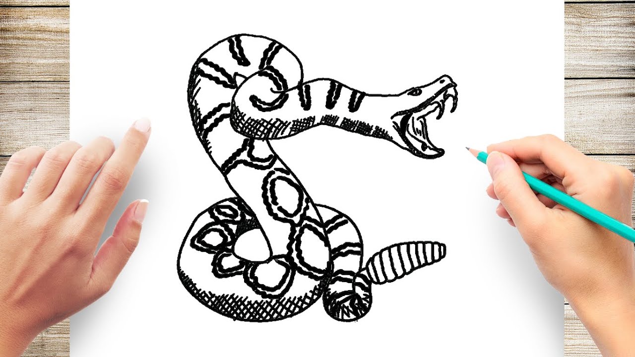 desert rattlesnake drawing