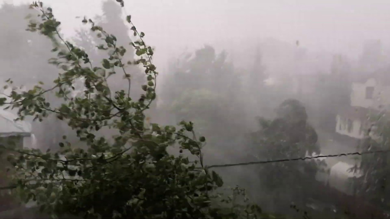 Ливень с сильным ветром - YouTube