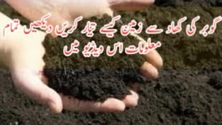 HOW TO MAKE COMPOSITE FROM COW DUNG/HOW TO MAKE DUNG FERTILISER AT HOME