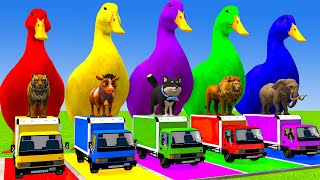 Download Lagu Long Slide Game With Cow Elephant Gorilla Hippopotamus Tiger 3d Animal Game Funny 3d Animals MP3 Download Lagu Long Slide Game With Cow Elephant Gorilla Hippopotamus Tiger 3d Animal Game Funny 3d Animals MP3