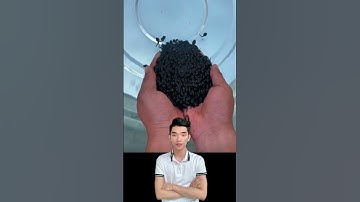 Sự phát triển của nòng nọc