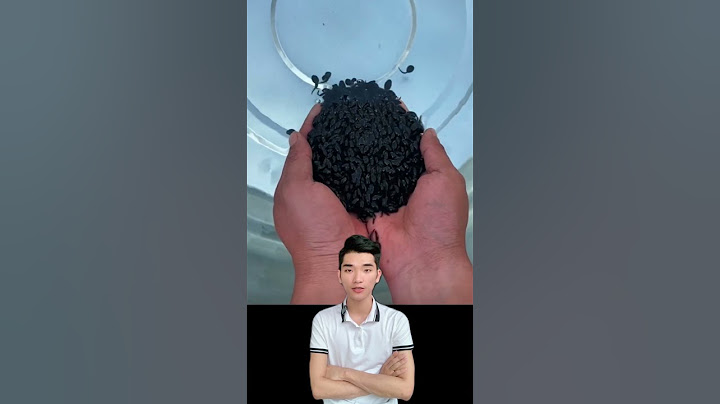 Sự phát triển của nòng nọc