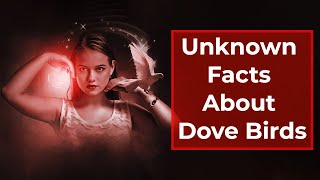 Unknown Facts About Dove Birds | Discovering the World of the Animal Explorer